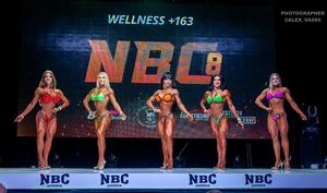 WELLNESS +163